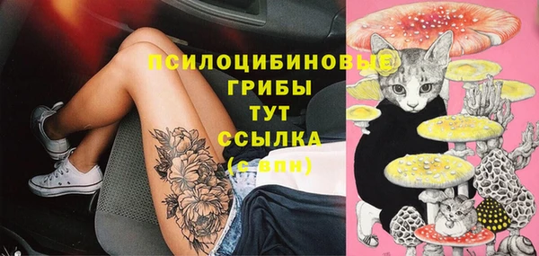 дурь Аркадак
