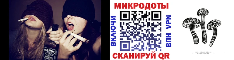 Купить  Шимановск  Псилоцибиновые грибы ЛСД 