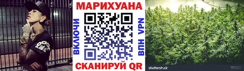 Канабис семена  Купить закладки  Шимановск 